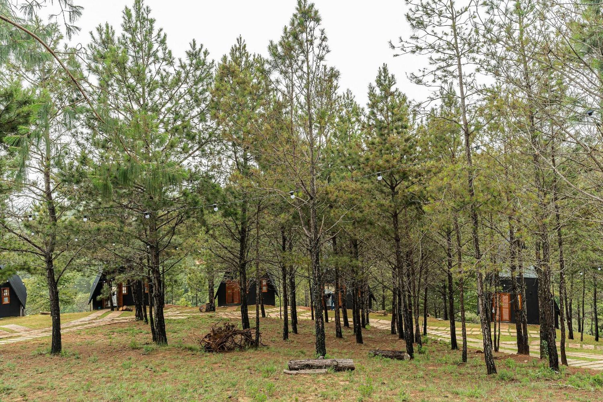 Chales Naturale - Campos Do Jordao - Cna Eksteriør billede